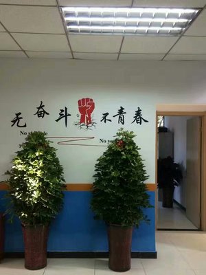天津扬帆未来教育信息咨询